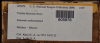 Image Associated With the Occurence